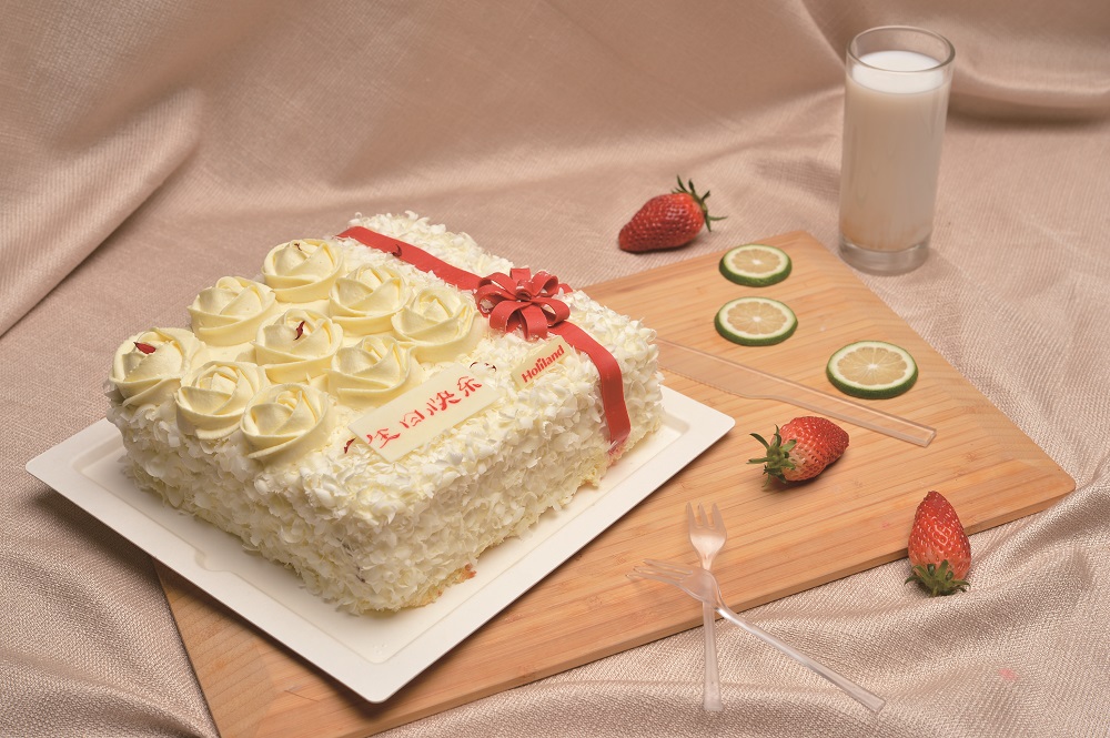 Hollyland square cake tray